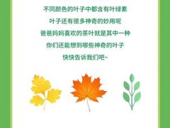 -斯坦星球AI编程·机器人科创·科学实验·信奥·思维·STEM·积木拼搭·竞赛考级(浦东联洋广场大拇指龙阳御桥中心)