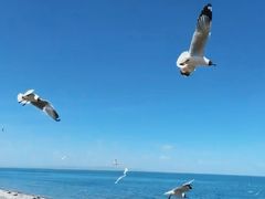 -青海湖二郎剑景区