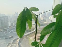 -帝京日语(春熙路旗舰校区)