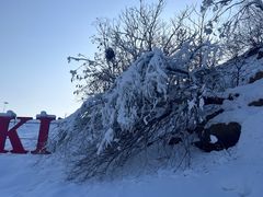 -蓟县盘山滑雪场