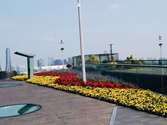 -城市阳台