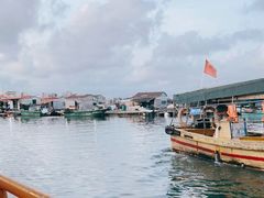 -蓝湾碧波·老字号·疍家非遗海上餐厅