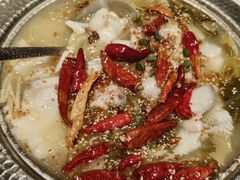 -姚姚酸菜鱼·金戈戈香港豉油鸡(喜荟城联名店)