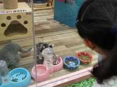 -友谊新天地广场(金街店)