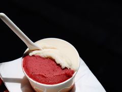 -Dip in Gelato(富民路店)