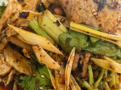 -大邑李记肥肠血旺