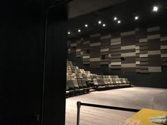 -武商摩尔影城(国广IMAX激光店)