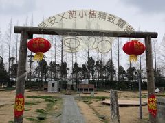 -前小桔亲子创意农场·草莓采摘·露营烧烤