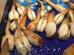 -高佳庄·舟山海鲜(海景旗舰店)