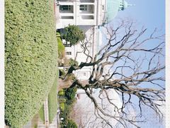 -东京国立博物馆