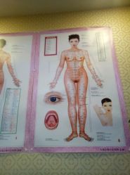 -养月堂中医养生月子会所(中心妇产店)