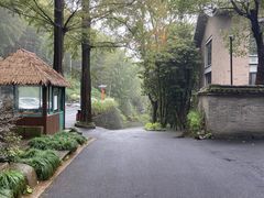 -午潮山国家森林公园