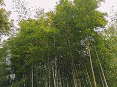 -汇龙潭