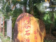 -海南热带雨林国家公园吊罗山景区