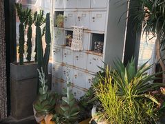 -北马山庄植趣咖啡
