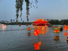 -洛阳市隋唐城遗址植物园