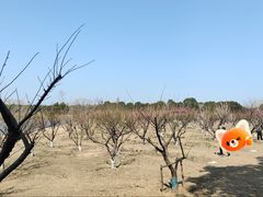 -南湖湿地公园