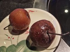 -挂雪铁锅炖大鹅