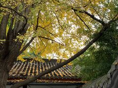 -望江楼公园