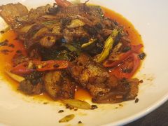 -羲和雅苑•北京烤鸭(平安国际金融中心店)