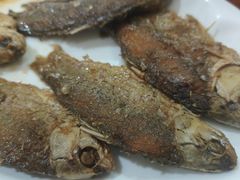 -独流饭店(静海区国土资源分局西)