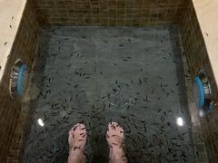 -中家鑫园温泉酒店鑫悦汤泉