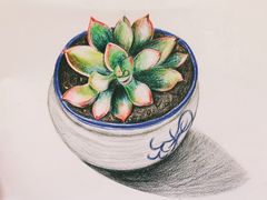 -东方童画少儿美术(莘庄体验馆)