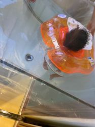 -佳之爱月子会所