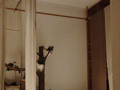 -纳地素食(石门公园店)