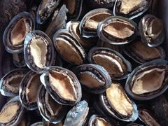 -宋柏树北京果木烤鸭(安东卫店)