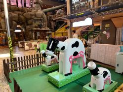 -卡通尼·Safari非洲探索乐园·生日会(金桥国际商业广场店)