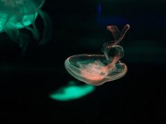 -北海·海洋之窗
