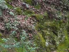 -浮山风景名胜区