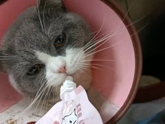 -嘉馨宠物医院·CT影像转诊·心脏科·犬猫全科诊疗中心(下沙大学城院区)