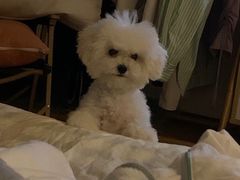 -comecome来吧宠物(奥克斯中心店)