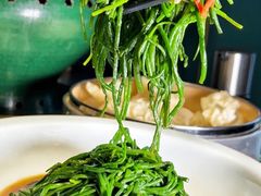 -蒙料·手把肉(望京店)