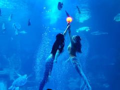 -太平洋海底世界