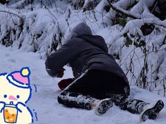 -武陵山森林公园