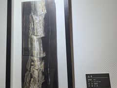 -奥加美术馆
