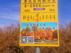 -金塔沙漠胡杨林景区