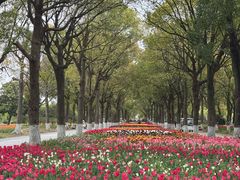 -上海鲜花港