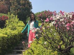 -南汇桃花村