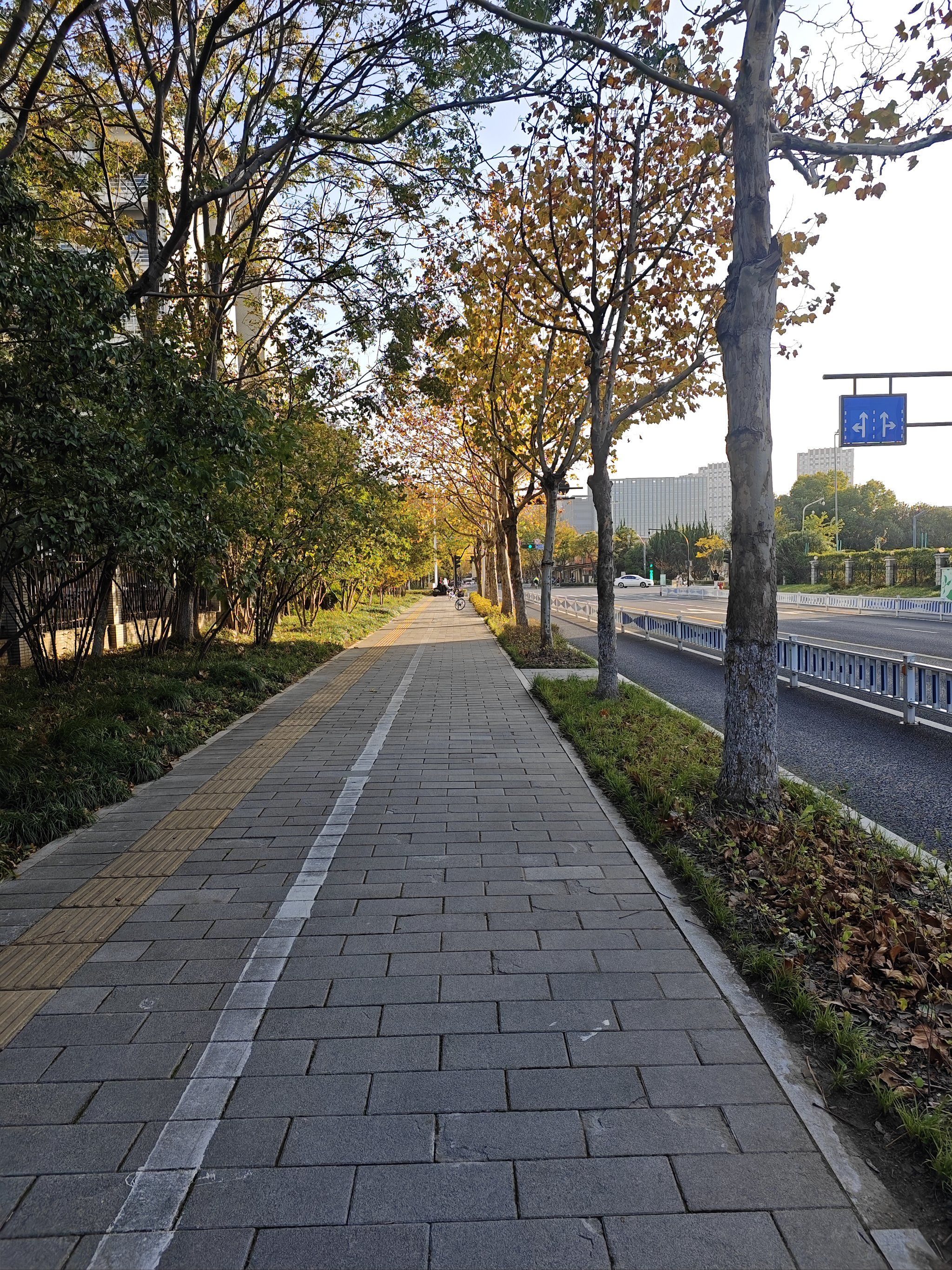 早晨跑步正当时