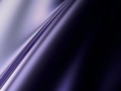 -狮麟驾校