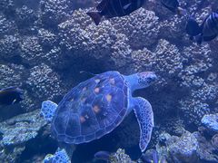 -海合安青岛极地海洋公园