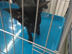 -欧亚达商业广场(红桥店)