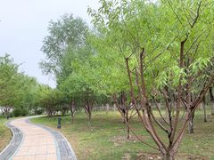 -水西公园