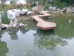 android_upload_pic-紫荆山公园