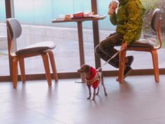 大堂-汉堡王(嘉定宝龙城市广场)