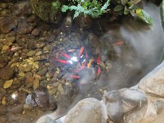 -银生食府·普洱菜(金星店)